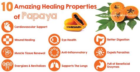 Papaya: Healing Spells and Rituals in Witchcraft